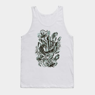 Ernst Haeckel Pitcher Plant  Teal Tank Top